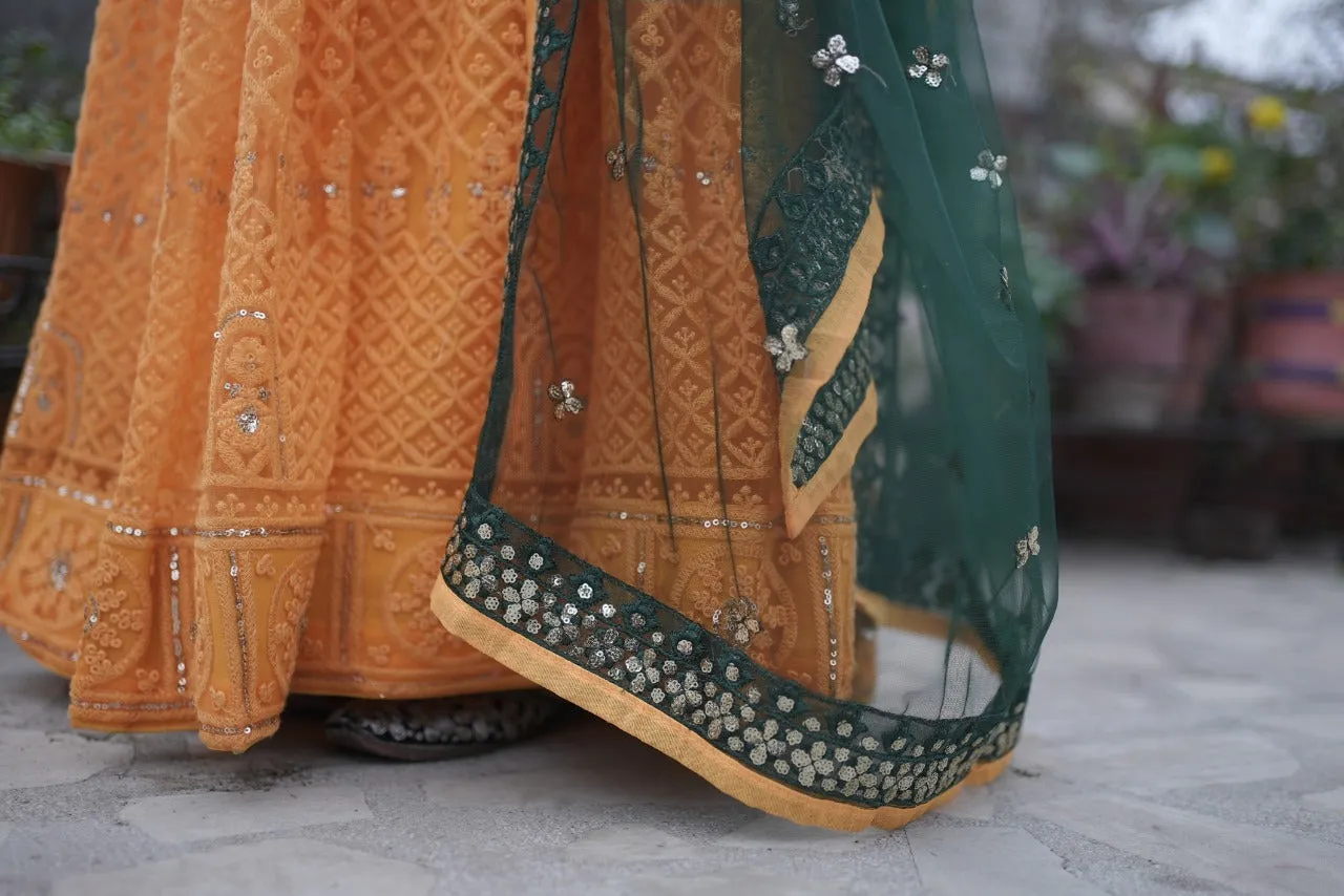 traditional Lehenga Choli